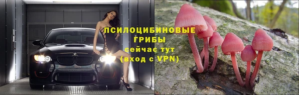 бошки Заволжск