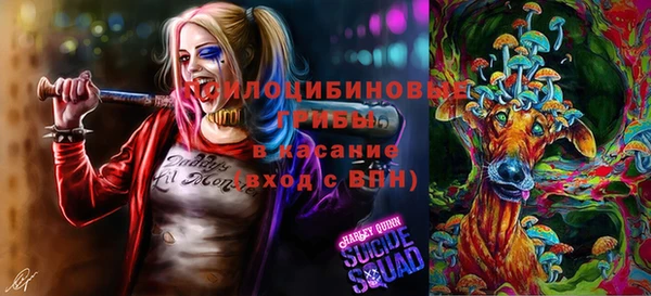 мет Заводоуковск