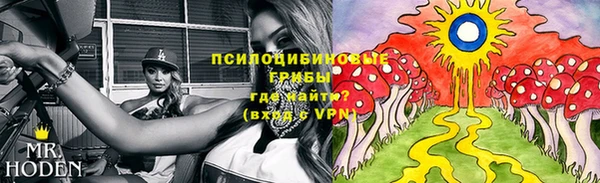 мет Заводоуковск