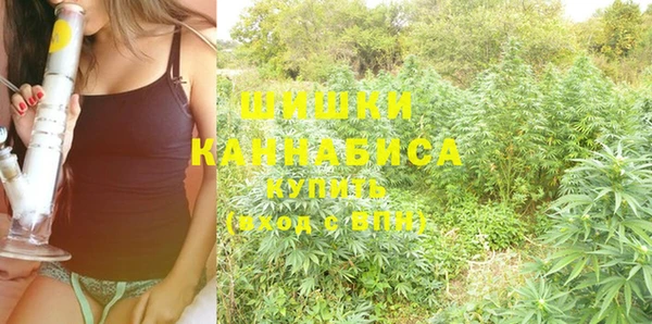 мет Заводоуковск